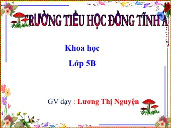 Bài giảng Khoa học Lớp 5 - Bài 8: Vệ sinh tuổ